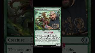 Magic the Gathering Lorwyn Eclipsed Prerelease deckbuilding guide for elves!  #mtg #mtgambassador