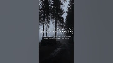 أجمل تلاوة تهز القلوب | أحمد النفيس سورة الشعراء