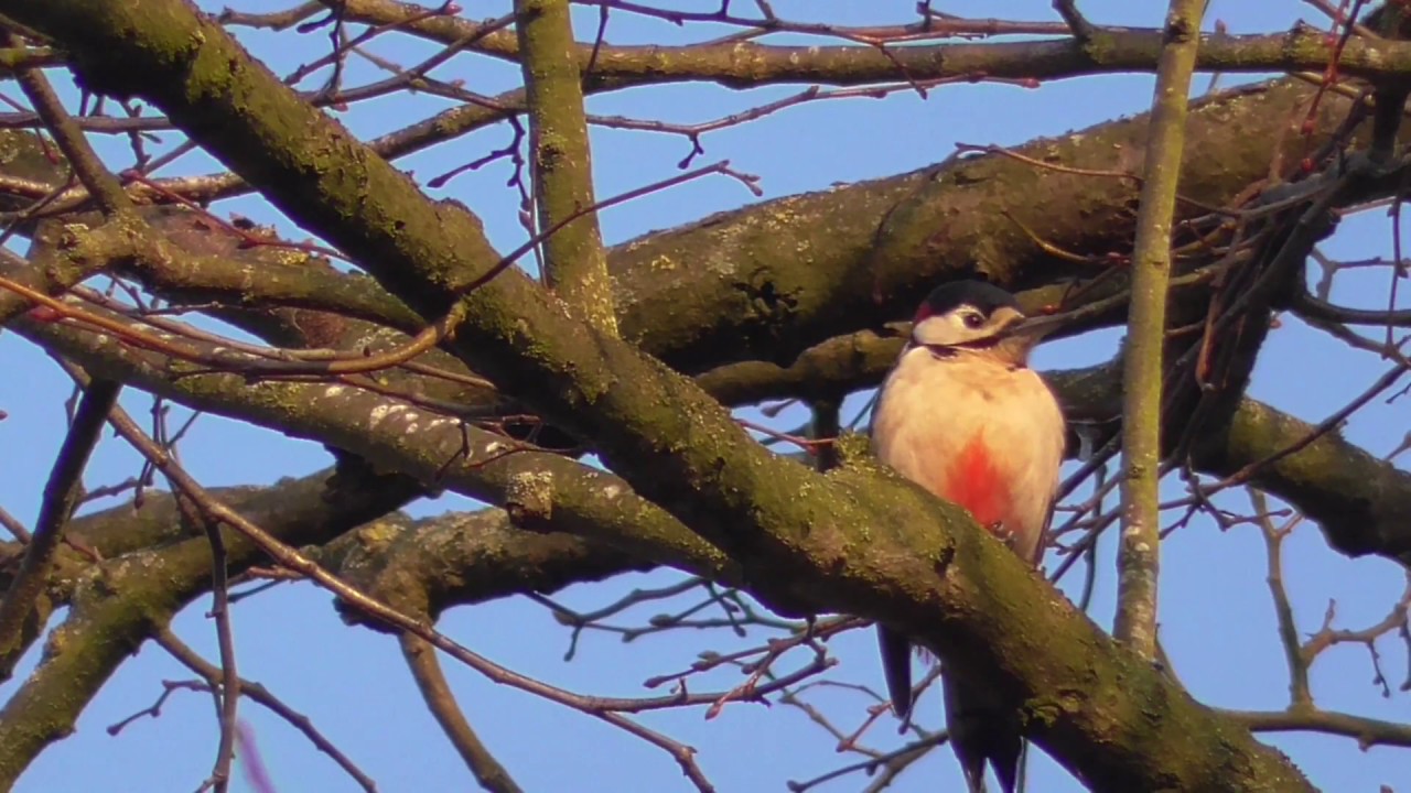 RSPB Middleton Moments