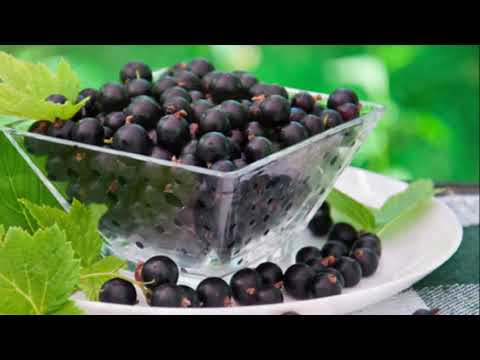 ЧЕРНАЯ СМОРОДИНА ЛУЧШИЕ СОРТА: РАННИЕ, СРЕДНЕСПЕЛЫЕ, ПОЗДНИЕ, кусты. Вкусная и Сладкая Смородина.