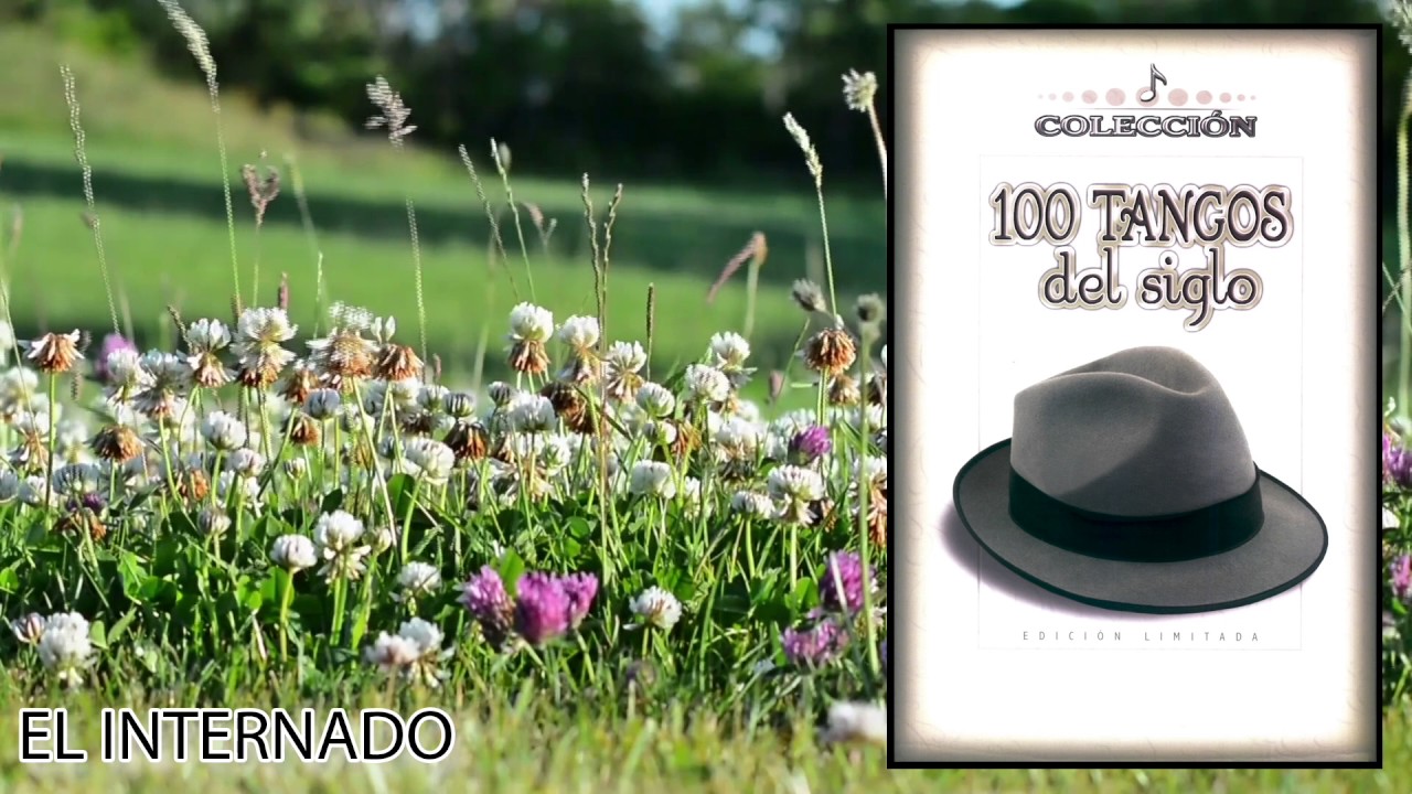Watch El Internado - Juan D Arienzo y su Orquesta (Visualizador) | Discos Fuentes on YouTube Watch El Internado - Juan D Arienzo y su Orquesta (Visualizador) | Discos Fuentes on YouTube