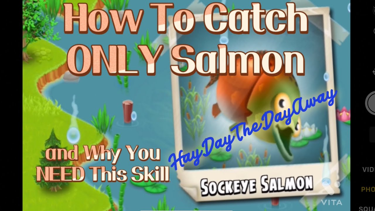 Hay Day Catch ONLY Salmon Save Lures Faster Fishing Tasks YouTube