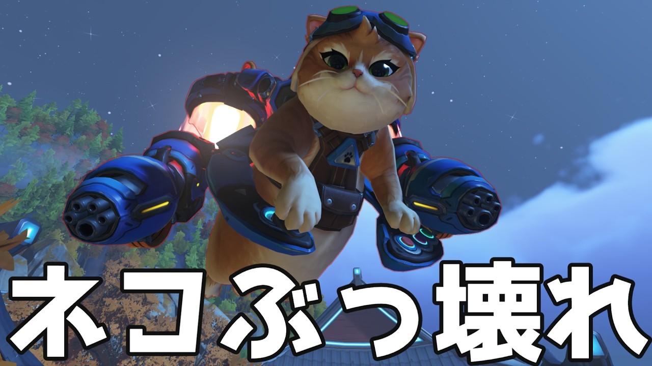 OW] The new character 