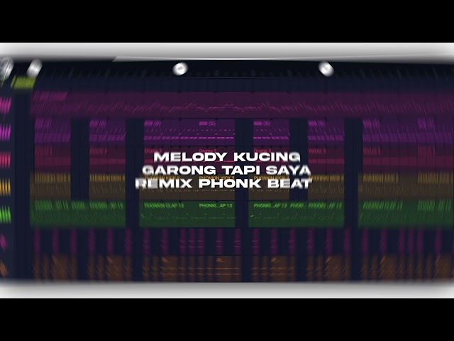 Melody Kucing Garong PROD.dedi1945我是 (Phonk Remix) class=