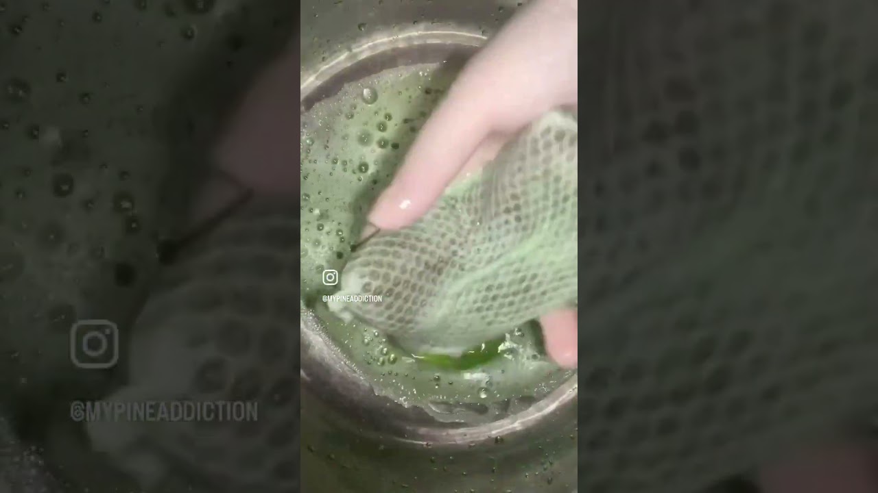 Walex pine floor cleaner sudsing🤤 