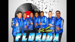 Video thumbnail of "TROPICAL FLORIDA - NO PODRAS"