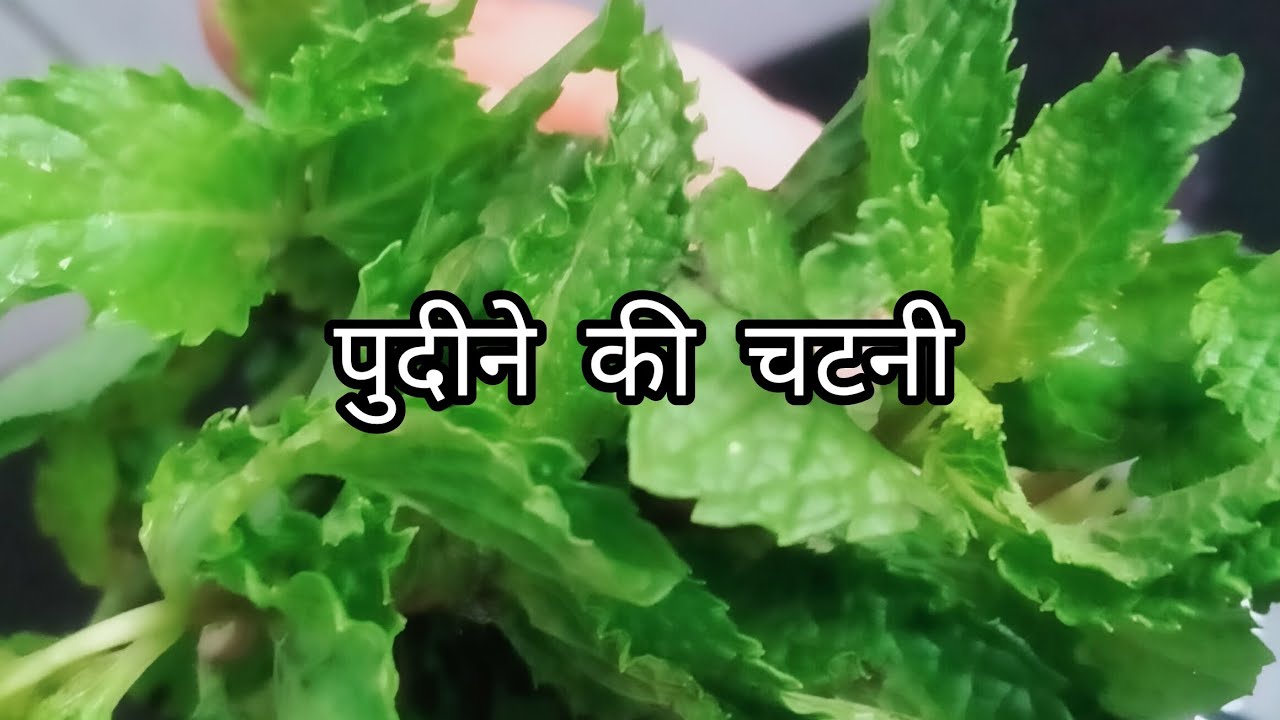 green chutney/mint leaves chutney full recipe video ekdum aasan