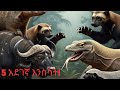Top 5 Dangerous Animals 5 አደገኛ እንስሳት Top 5 Dangerous Animals 5 አደገኛ እንስሳት