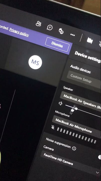 How to mute audio in Microsoft teams.