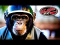 Are YOU riding with APEs?  You should be.