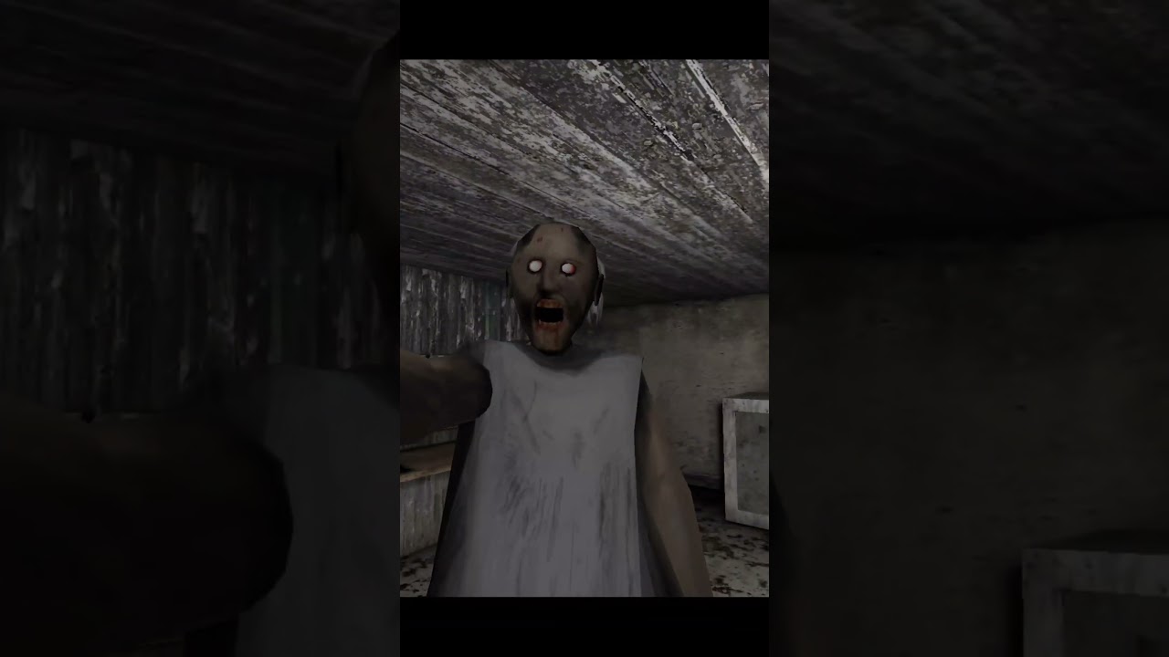 GRANNY KILLED WITH HER OWN GUN IN SHOCKING GAME TWIST? CHAPTER 1