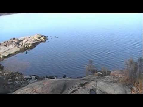 Wellesley Island State Park Hike In Wellesley Island State Park Hike In