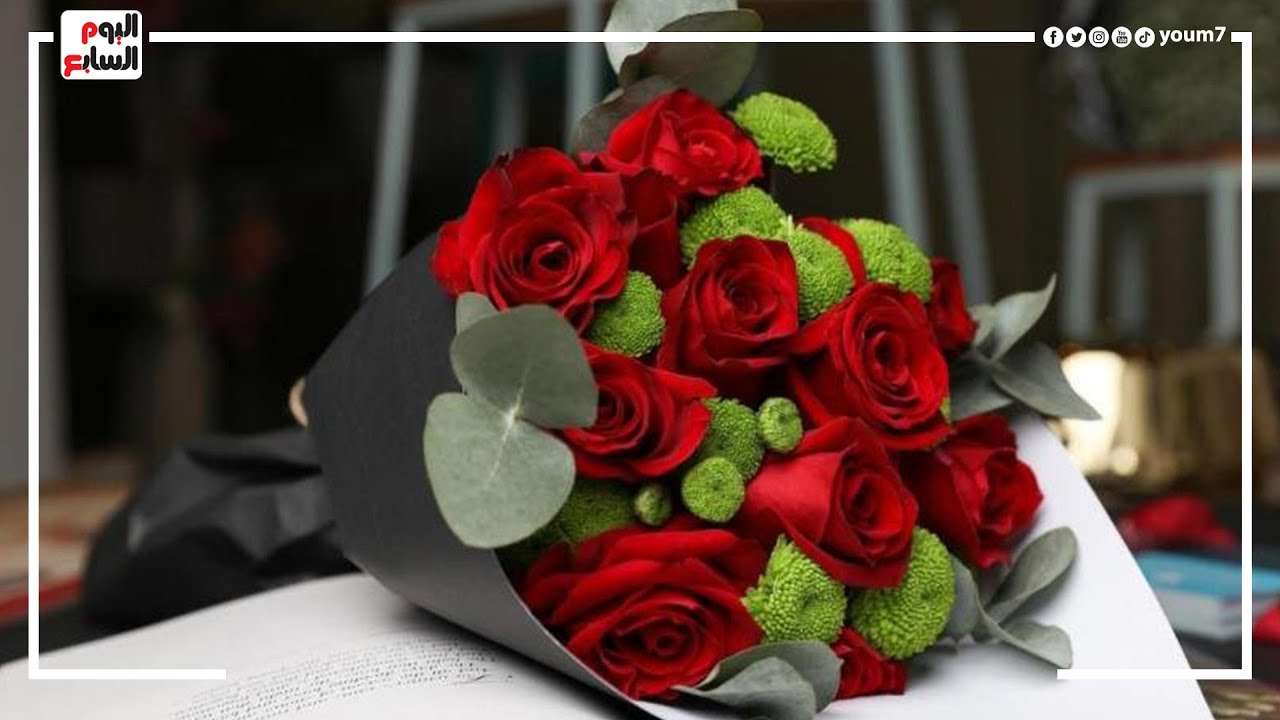 لو سنجل الجولة دى مش ليك.. أفضل خروجات رومانسية للاحتفال بـ