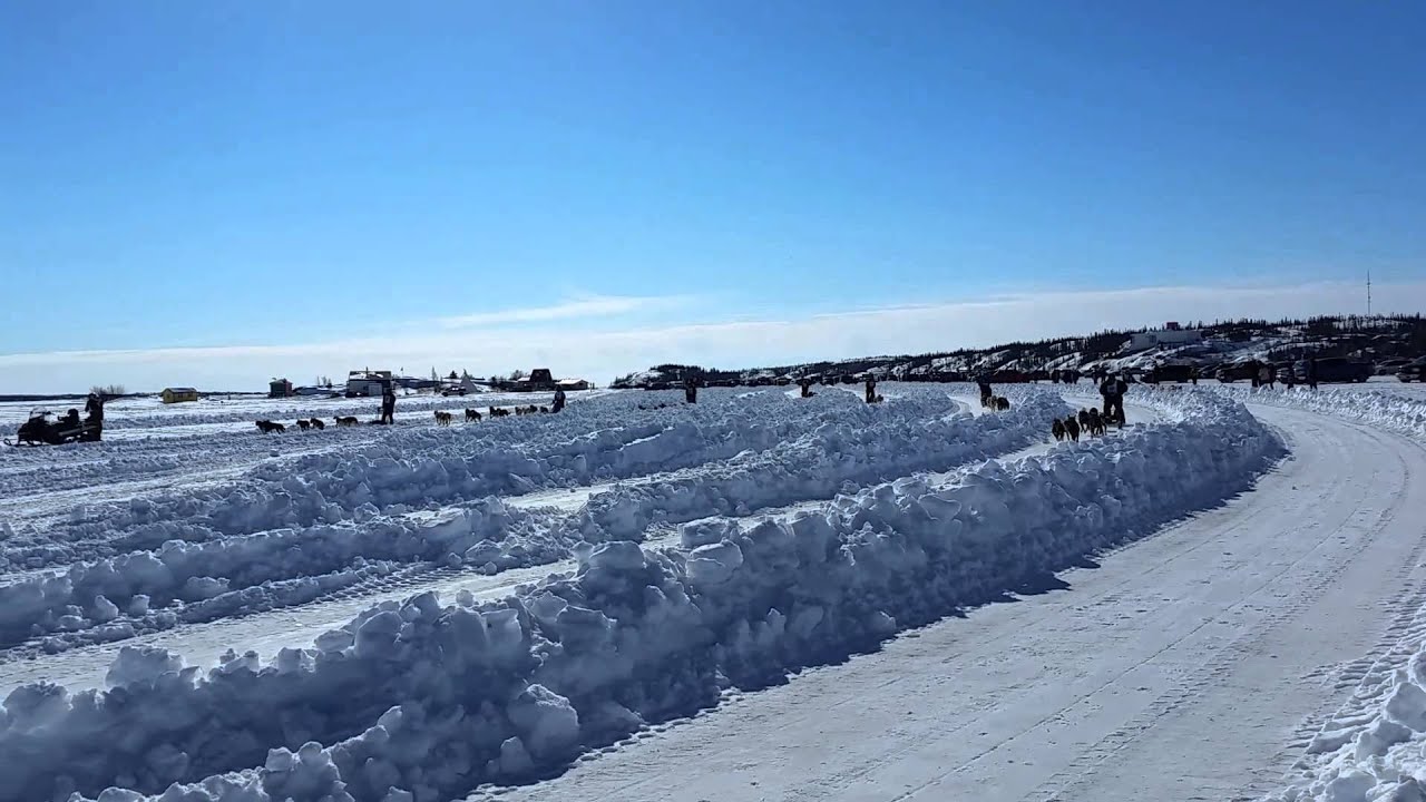 Long John Jamboree 2015 Dog Races