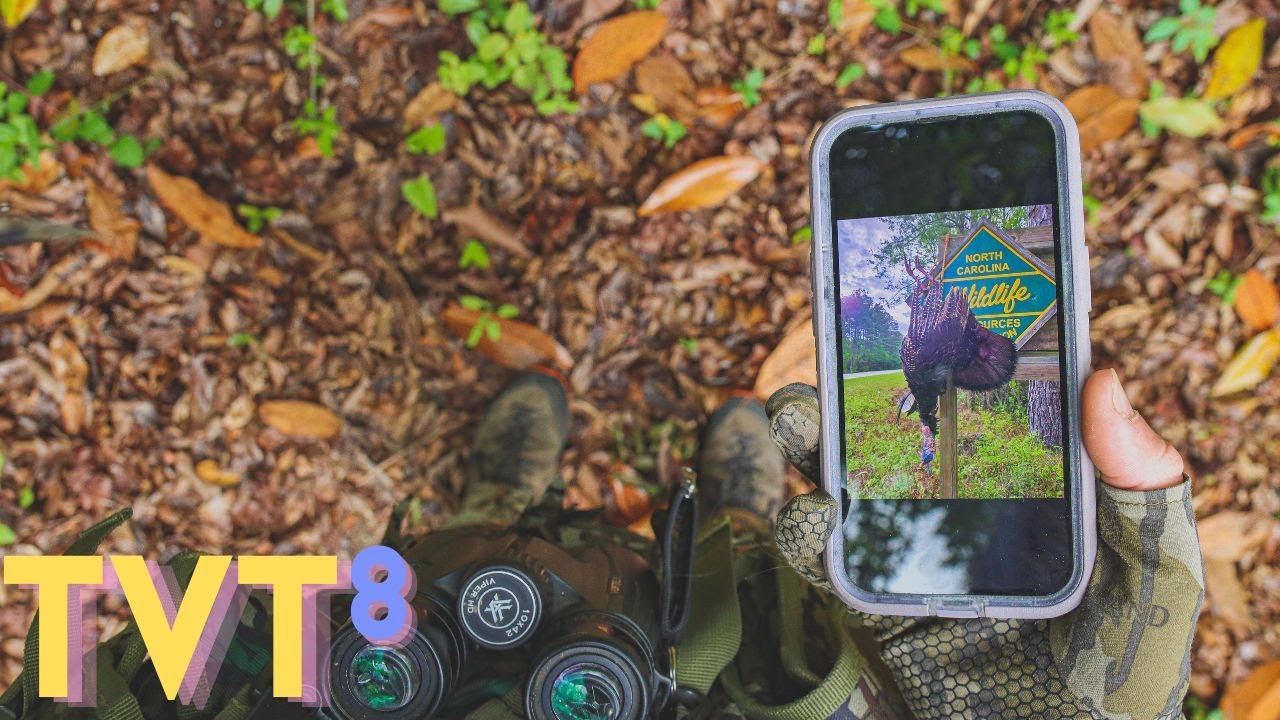 I HELPED a STRANGER get his FIRST PUBLIC LAND GOBBLER North Carolina