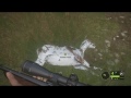 Thehunter  call of the wild  piebald roe doe