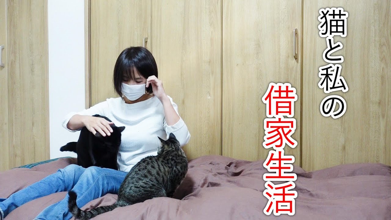 猫と暮らす秋の田舎暮らし/ジャンボにんにくを植える/キャットタワー重量オーバーのクロ【スローライフ】