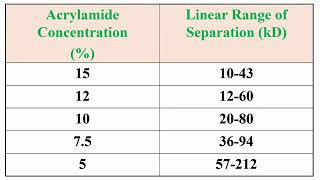 Separation of Proteins in Kilo Dalton KDa in opposite of Acrylamide Concentrations Kilo Dalton