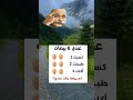 عندي 6بيضات كسرت2 طبخت2 اكلت2 كم بيضة بقت اشتراك بالقناة