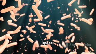 5 Science Facts School Never Told You (+Wild Bonus)