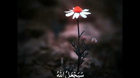 سورة الطلاق بصوت إدريس أبكر لا يكلف الله نفساً إلا ما آتاها سيجعل الله بعد عسر يسراحالات واتس أب