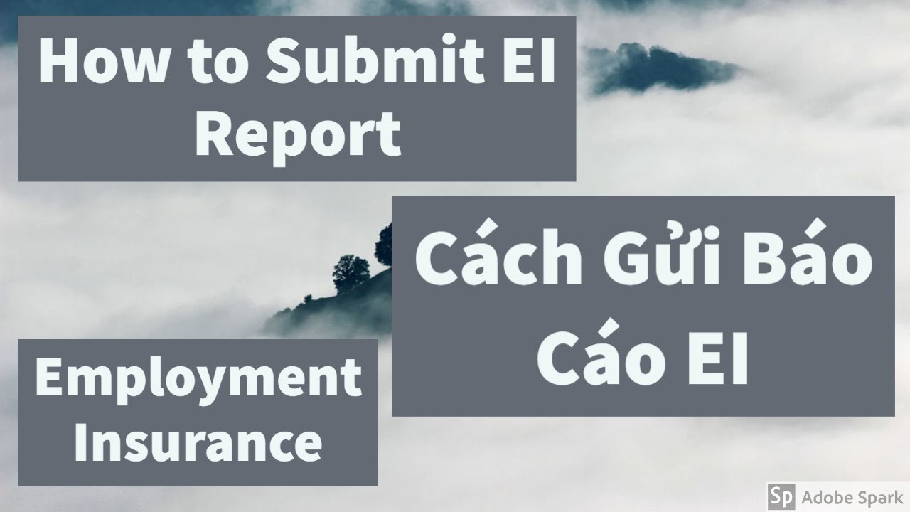 C ch G i B o C o EI How To Submit Your EI Report YouTube C Ch G I B O C O Ei How To Submit Your Ei Report Youtube