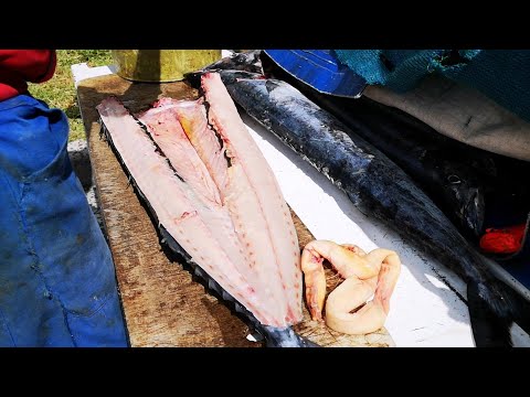 What Is Snoek Kuite