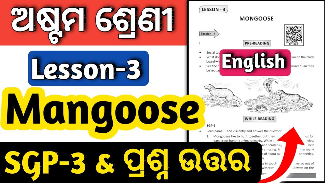 class 8 english mongoose sgp 3 question answer ll 8th class english mongoose question answer sgp 3