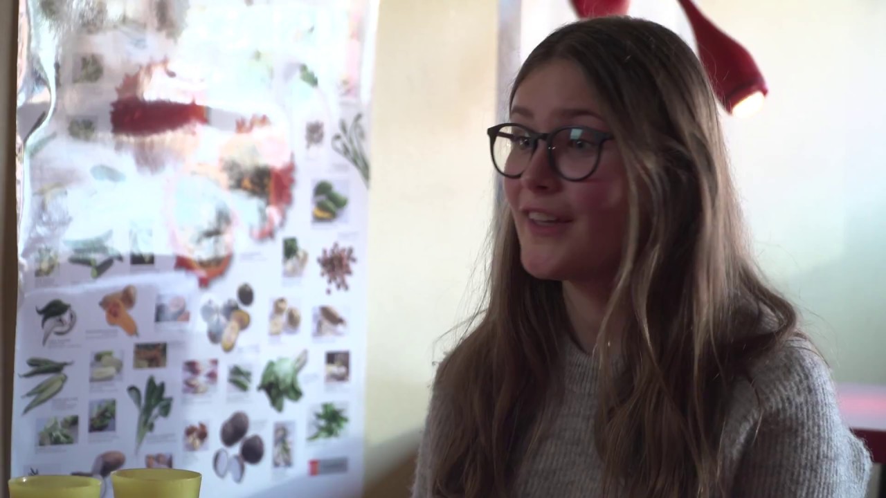 Filmlejrskole 2016-17 - Vinderup Realskole uge 12 - Nu eller Aldrig - YouTube