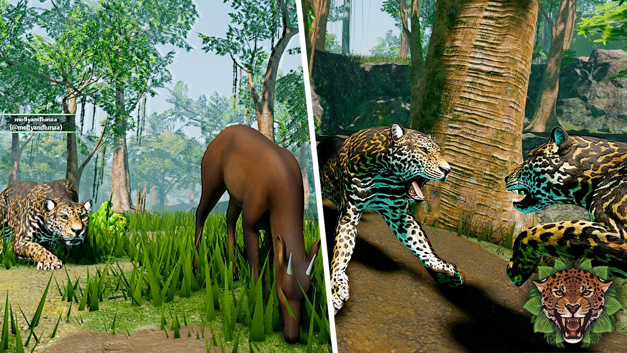 Стая ягуаров охотится на добычу, а затем сражается с соперниками! ROBLOX Amazonian Survival