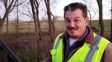 Log Bridge Series - Part 2 - Shoot/Cut Down Dead Tree