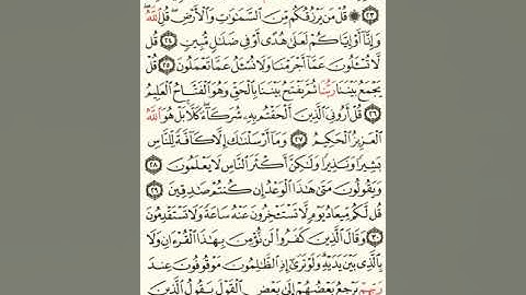 ماهر المعيقلي سورة سبأ مكتوبة صفحة 431 مصحف المدينة المنورة جودة عالية