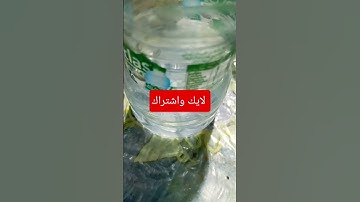 تلاوة ماشاء الله  تبارك الرحمان #explore #اكسبلور