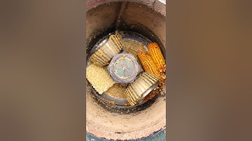 Electric poultry chicken feeds grass pellet making machine diesel cattle pelletizer machine