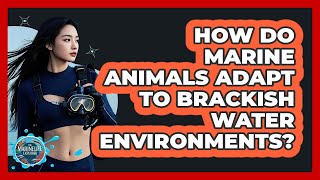 How Do Marine Animals Adapt To Brackish Water Environments? - The Marine Life Explorer