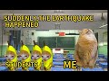 I WAS STILL STUDYING DURING THE EARTHQUAKE I WAS STILL STUDYING DURING THE EARTHQUAKE