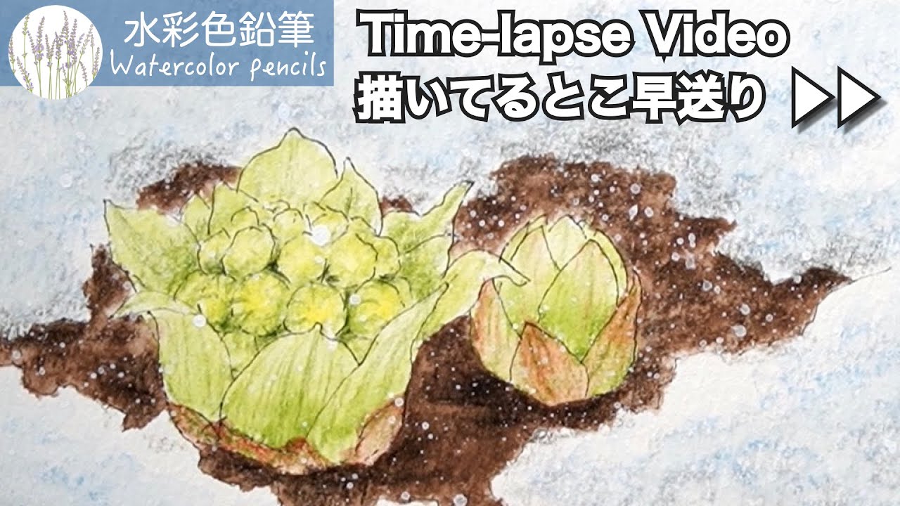 ▶︎▶︎ Painting a melting snow landscape | Watercolor pencils