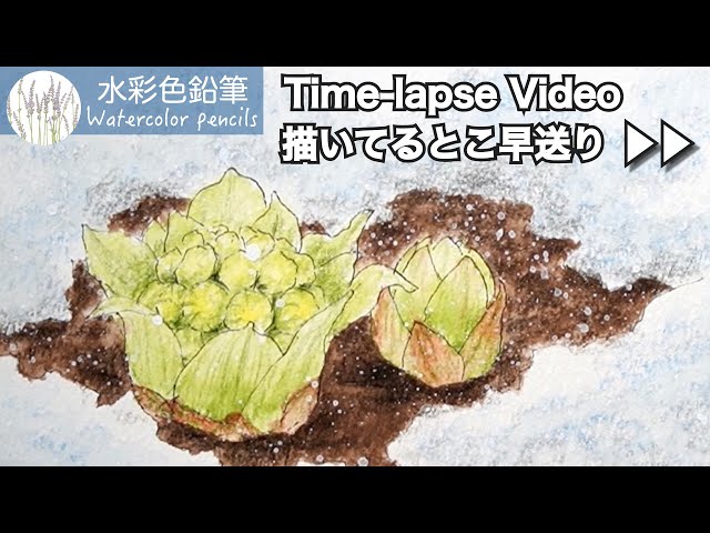 ▶︎▶︎ Painting a melting snow landscape | Watercolor pencils