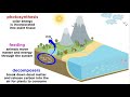 Ecosystem Dynamics and Functions