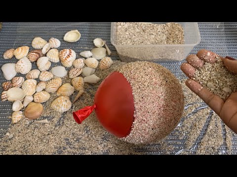 How To Make Flower Vase From Seashells And Sand | Flower Pot Making