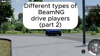 Different types of players in BeamNG drive (part 2)