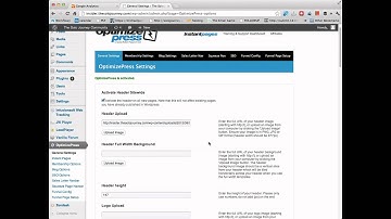 Google Analytics code into optimize press