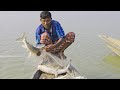 natural fishing in bangladesh | catfish catching