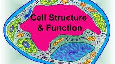 CELL STRUCTURE AND FUNCTION/CSIR UGC NET/SLET LIFESCIENCE/NEET BIOLOGY/11TH & 12TH BIOLOGY PPT