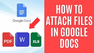 Celebrity How to Attach Files in Google Docs [Easy Guide] Profile
