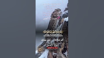 تلاوة خاشعة عطرة مباركة جميلة عذبة للشيخ ماهر المعيقلي ماتيسر من سورة الأعلى