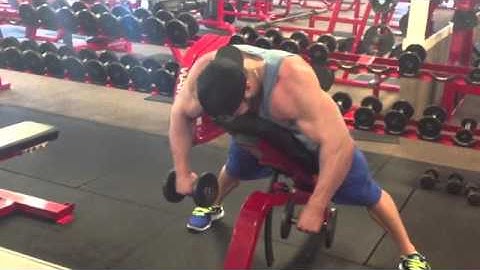 Incline Bench Prone DB External Rotation