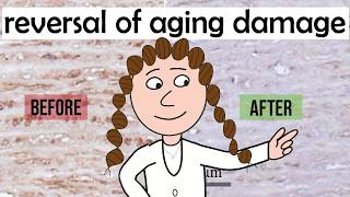 can this new enzyme reverse aging