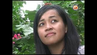 LAGU BUGIS KARYA ANSAR S - UTIWI PEDDIKKU || VOCAL YUSNANDAR