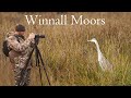 WILDLIFE PHOTOGRAPHY |  Misty morning in Winnall Moors | Olympus 2020